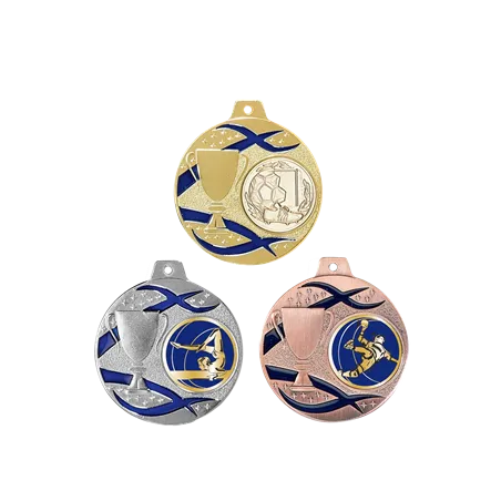 Médaille 50MM P.219 - 79