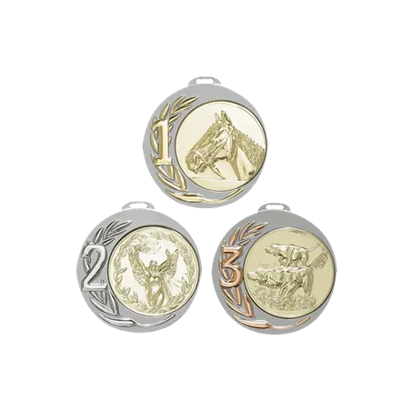 Médaille 70MM P.224 - 80