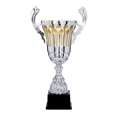 COUPE P.69 39CM 2026