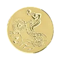 Pastille rigide autocollante - CK058