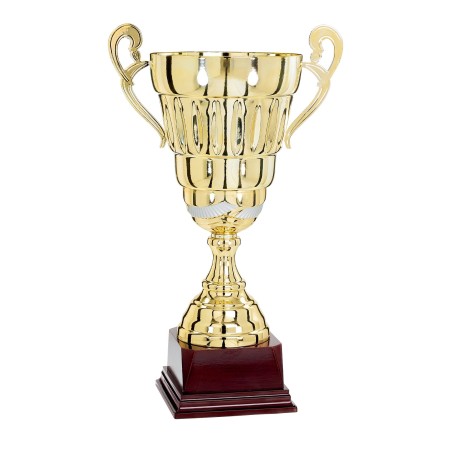 COUPE P.75 40CM 2026