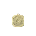 Médaille 40MM P.200 Gymnastique - DK09