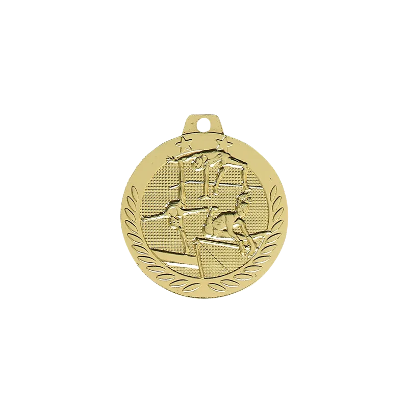 Médaille 40MM P.201 Gymnastique F. - DX11