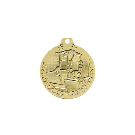 Médaille 40MM P.201 Gymnastique F. - DX11