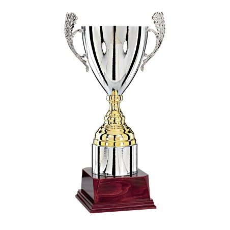 COUPE P.77 47CM 2026