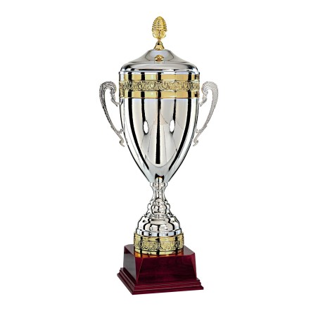 COUPE P.78 64CM 2026