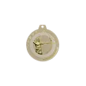 Médaille 50MM P.204 Tir C - NQ14