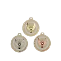 Médaille 50Mmp.204 Vctoire GT - NQ15