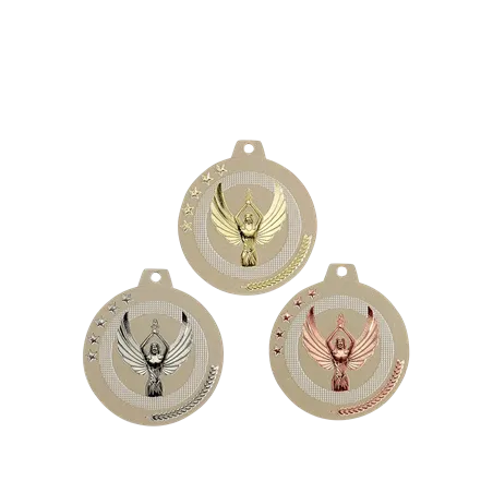 Médaille 50Mmp.204 Vctoire GT - NQ15