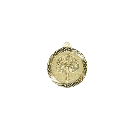 Médaille 32MM P.199 Victoire - NX17