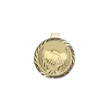 Médaille 50MM P.205 Amitié - NZ01
