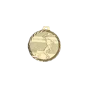Médaille 50MM P.206 TEN.TBLE - NZ22