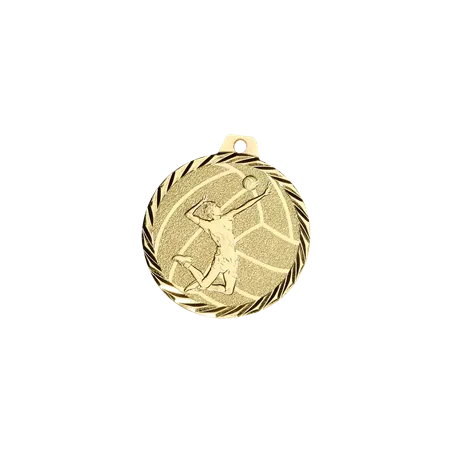 Médaille 50MM P.206 Volley - NZ24