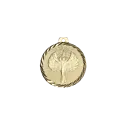 Médaille 50MM P.206 Victoire - NZ26