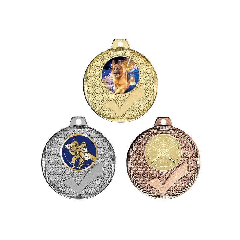 Médaille 50MM P.213 P 25 Gent L - Q-041