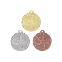 Médaille 32MM P.214 Course P 25 GT - Q-060