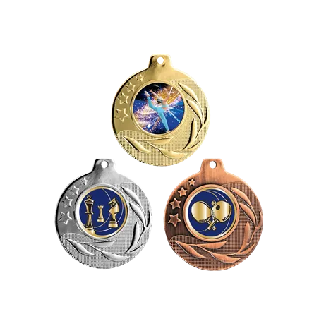 Médaille 50MM P.213 Promo P 25 - Q-077