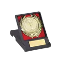 Plaque de distinction avec écrin - 185-12