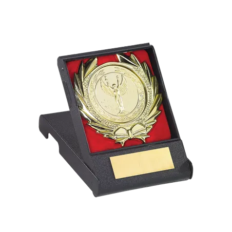 Plaque de distinction avec écrin - 185-12