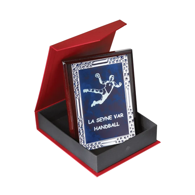 Plaque de distinction avec écrin - 185-91