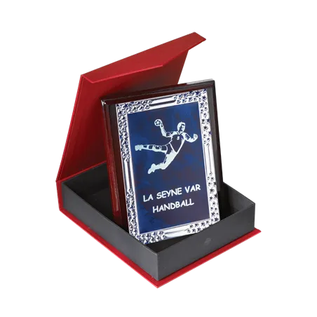 Plaque de distinction avec écrin - 185-91