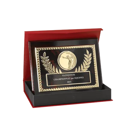 Plaque de distinction avec écrin - 186-41