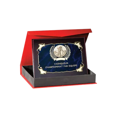 Plaque de distinction avec écrin - 187-45