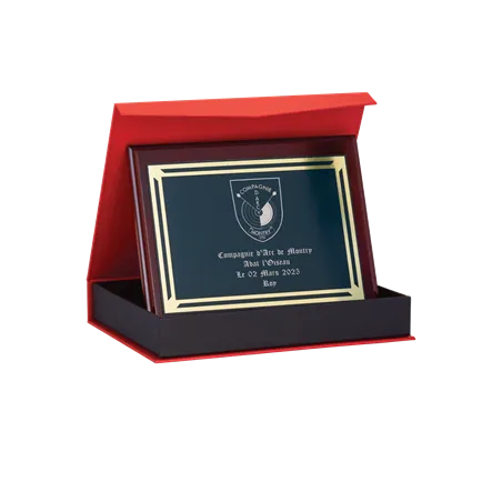 Plaque de distinction avec écrin - 187-61