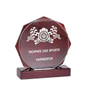 Trophée Bois P.164 - 164-21