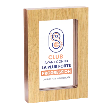 Trophée Bois et Acryglass P.150 25x17 cm - 150-11