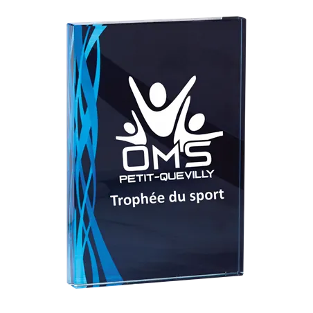 Trophée en verre P.165 16X12CM - 165-21