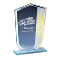 Trophée en acrylique P.173 - 171-01