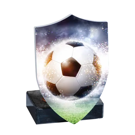 Trophée Foot P.81 - 23901