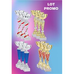 Lot de 12 Coupes : 2025-5