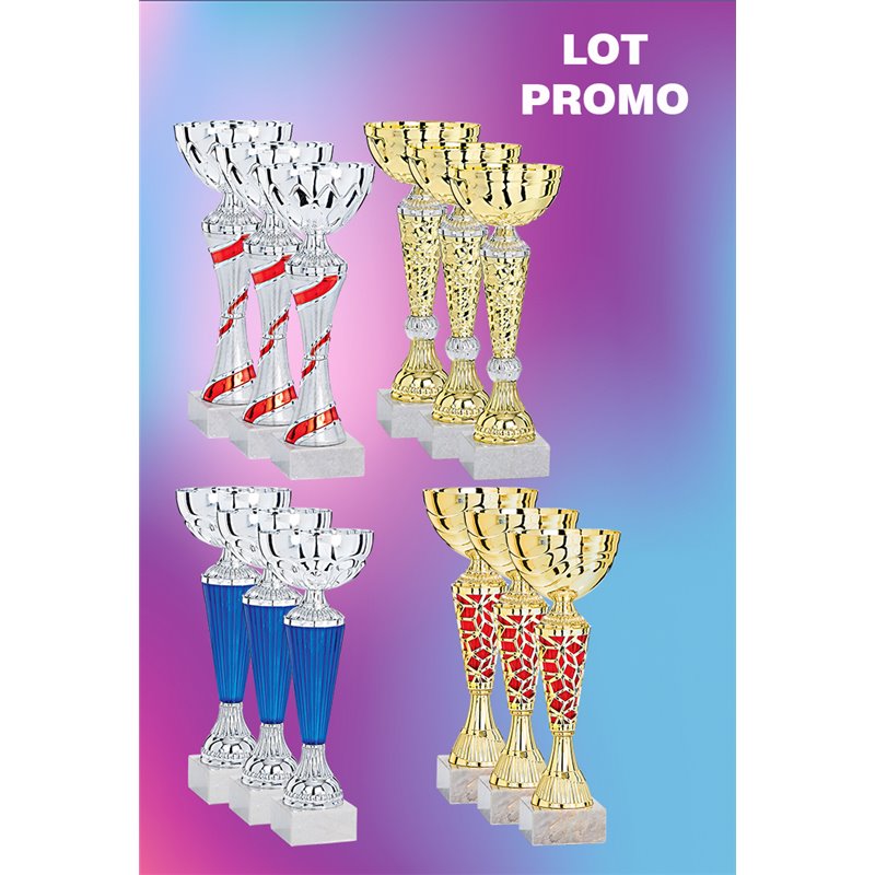 Lot de 12 Coupes : 2025-5