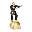Trophée Résine S71500 - 71516