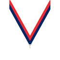 Ruban P.195 22 mm Rouge / Bleu, - 6044