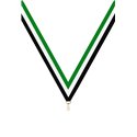 Ruban P.195 22 mm Vert / Blanc / Noir, - 6046