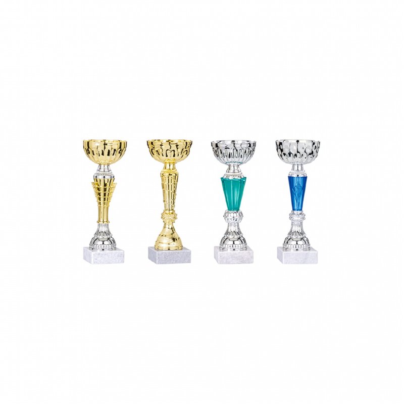 Lot de coupes 24 cm