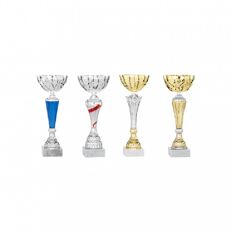 Lot de coupes 24 à 28 cm