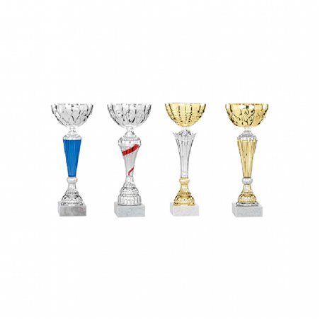 Lot de coupes 24 à 28 cm