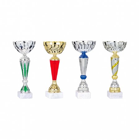 Lot de coupes 28 à 33 cm