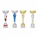 Lot de coupes 33 à 39 cm