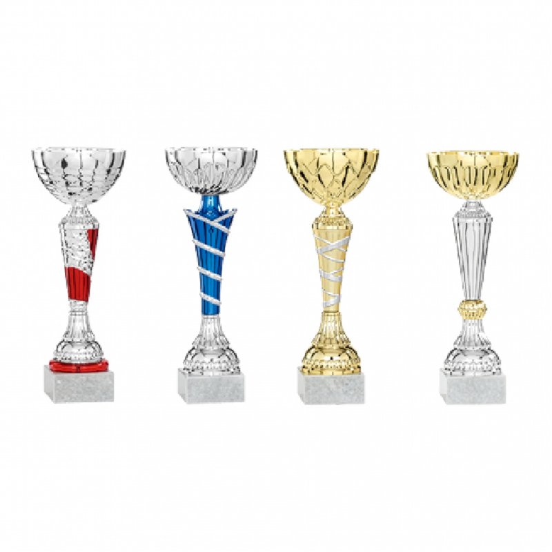 Lot de coupes 33 à 39 cm