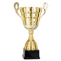 Coupe 6671 - 40 cm