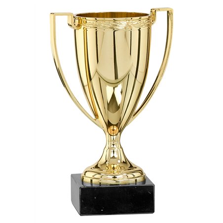 Coupe 0531 - 14 cm