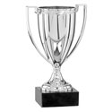 Coupe 0532 - 14 cm