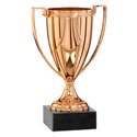 Coupe 0533 - 14 cm