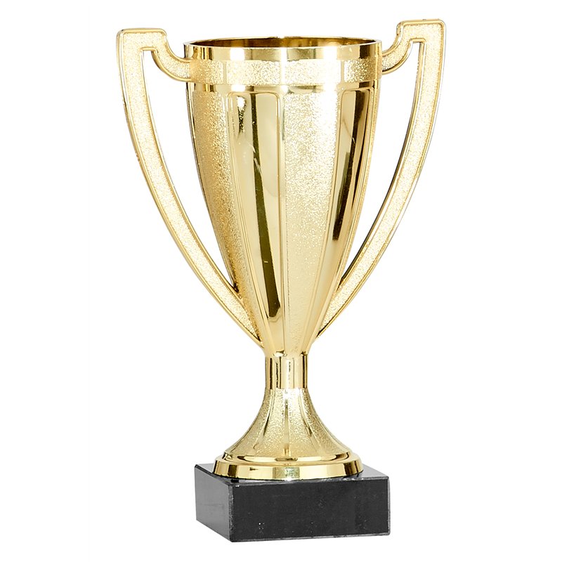 Coupe 0621 - 12 cm