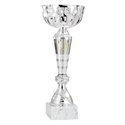 Coupe 1511 - 19 cm